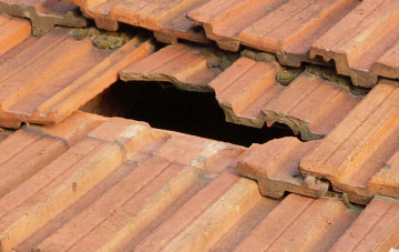 roof repair Newton Ketton, County Durham